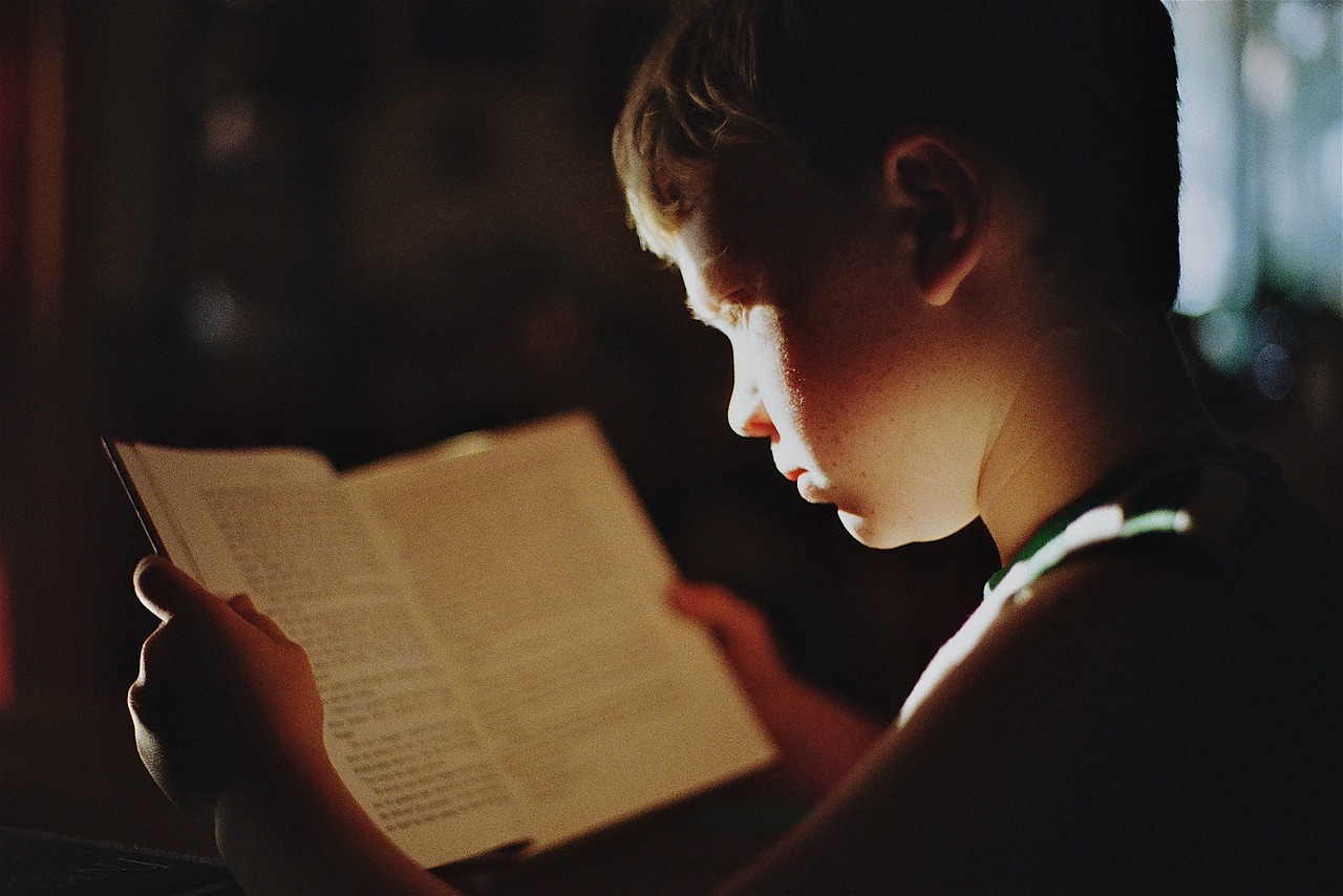 boy, book, reading-5731001.jpg